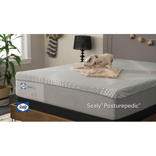Sealy Paterson 12" Medium Hybrid Mattress & Reviews Wayfair